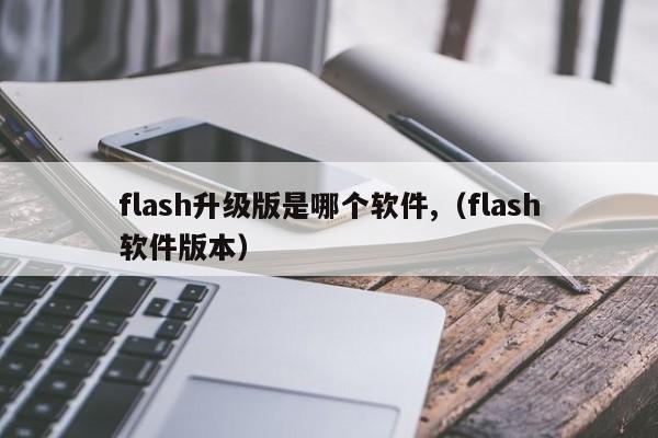 flash升级版是哪个软件？ （Flash软件版本）