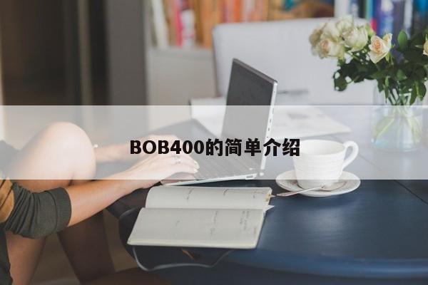 BOB400简介