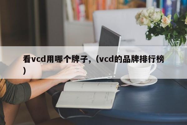 查看使用哪个品牌的VCD（VCD品牌排名）