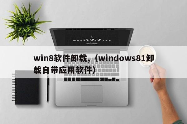 卸载win8软件（卸载Windows81内置应用软件）